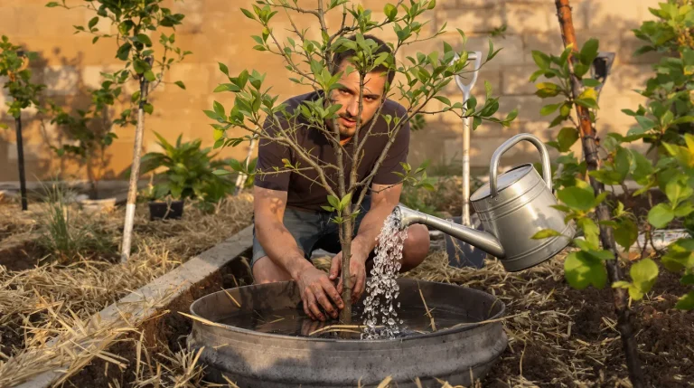 Ce fruitier rare et très productif à planter fin mars rate souvent sa reprise sans ces 4 règles d’or