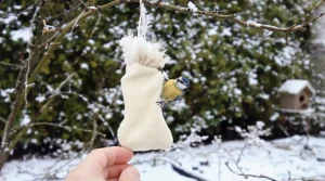 “Les oiseaux vont vous dire merci !” : ce DIY à faire en 10 secondes va leur être d’un précieux secours cet hiver