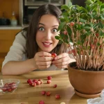 Ce fruit des fêtes devient une mini-forêt rose en 1 mois si vous plantez ses noyaux après le dessert