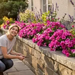 Cette petite vivace rose facile illumine bordures et pots tout l’été et transforme un jardin triste en scène ultra chic