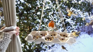 Ne jetez plus vos vieilles boîtes d’œufs, je les transforme au jardin pour attirer les oiseaux tout l’hiver